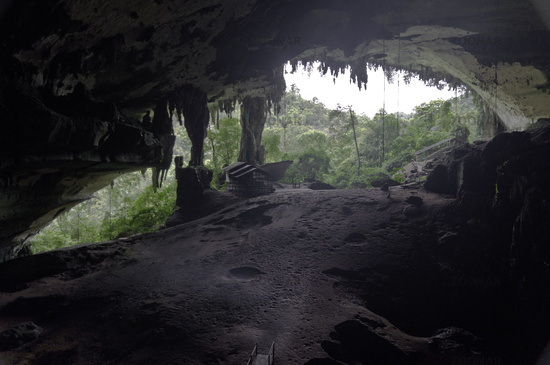 niah caves borneo